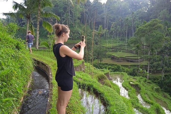 Best of Ubud - Ubud Tour Popular - All Inclusive - Stop 1, Tegalalang Rice Terrace and the subak irrigation system