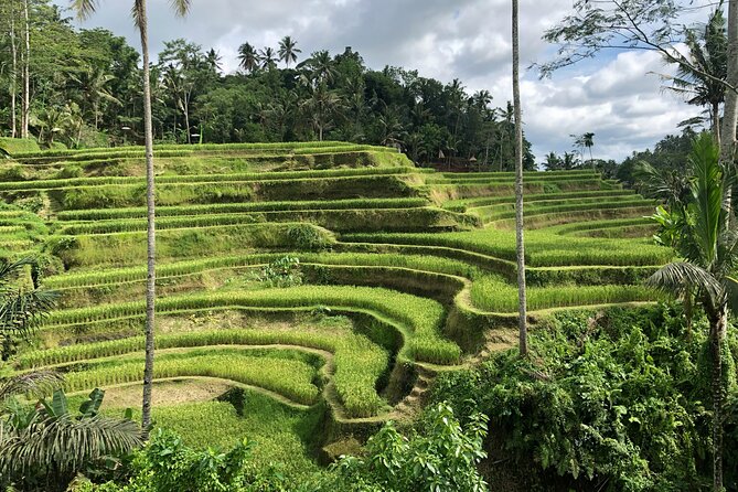 Best of Ubud Village Private Tour with Jungle Swing All Inclusive - Tegenungan Waterfall viewpoint: big scenery, less hiking pressure