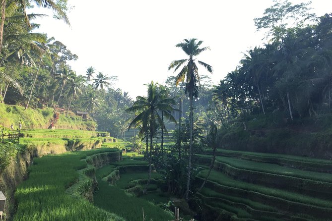 Best of Ubud Waterfalls, Tegalalang Rice Terrace and Swing Tour - Tibumana Waterfall: stairs, rice fields, and quieter vibes