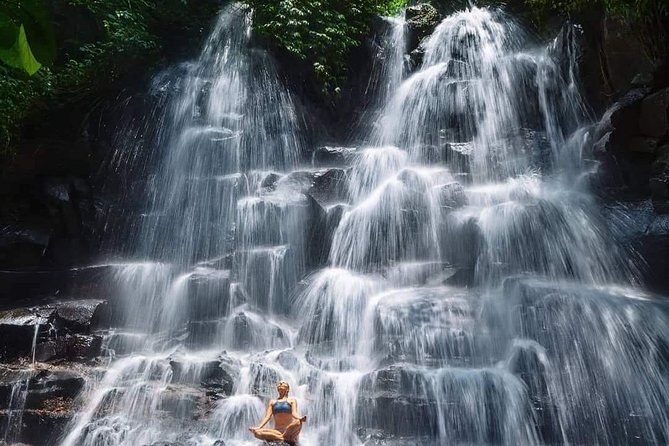 Best of Ubud Waterfalls, Tegalalang Rice Terrace and Swing Tour - What guides add to the day: pacing, explanations, and better photos