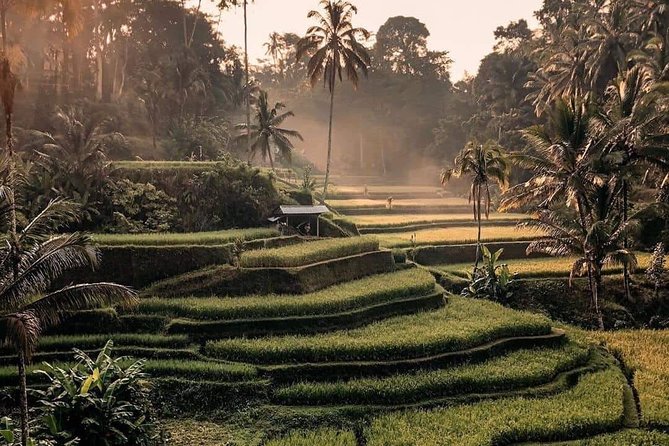 Best of Ubud Waterfalls, Tegalalang Rice Terrace and Swing Tour - Kanto Lampo Waterfall: stepped rocks and the canyon vibe