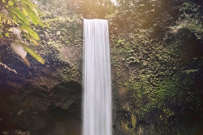 Best of Ubud Waterfalls, Tegalalang Rice Terrace & Jungle Swing - Tegalalang Rice Terrace: Walking the Narrow Paths and Watching the Light