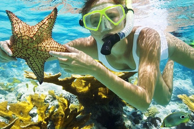 Best Snorkeling Trip at Blue Lagoon Bali - The Big Idea: Two Padang Bai Snorkel Spots, Done in One Day