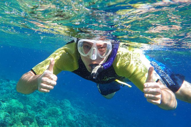 Best Snorkeling Trip at Blue Lagoon Bali - The Underwater Life You Can Expect to Spot