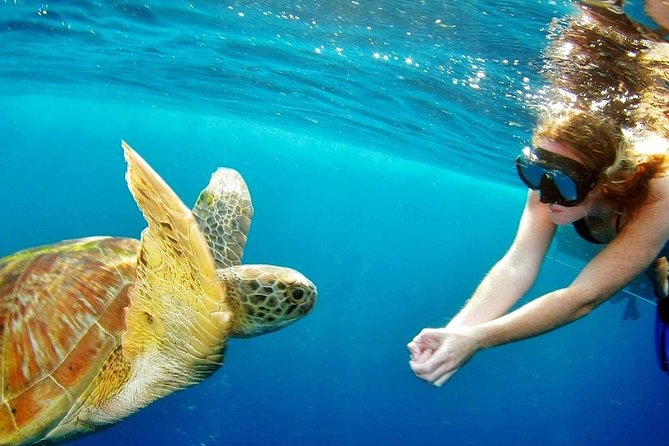 Best Snorkeling Trip at Blue Lagoon Bali - How the Day Flows: Pickup, Gear, Boat Time, Then Back to Lunch