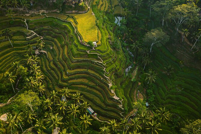Best Ubud Highlights - Private Day Tour - Stop 2: Ubud Palace for architecture and old-school power