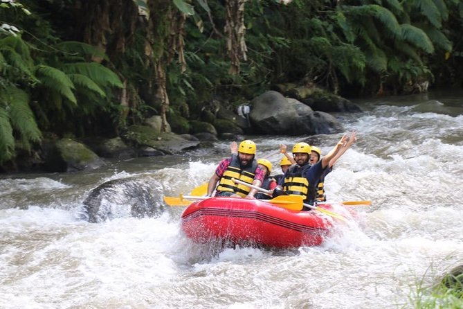 Best White Water Rafting in Bali - Price and Value: $36.70 for a Half-Day of Real Rapids