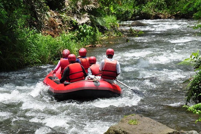 Best White Water Rafting in Bali - Who This Ayung River Rafting Tour Is Best For