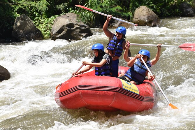 Best White Water Rafting & Lunch, Ubud - Why Ayung River rafting out of Ubud is good value