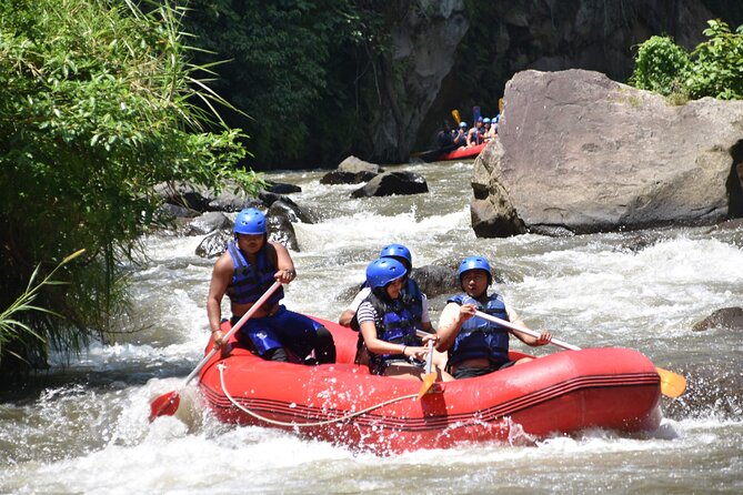 Best White Water Rafting & Lunch, Ubud - The Ayung run: 28 class II and III rapids over 11 km