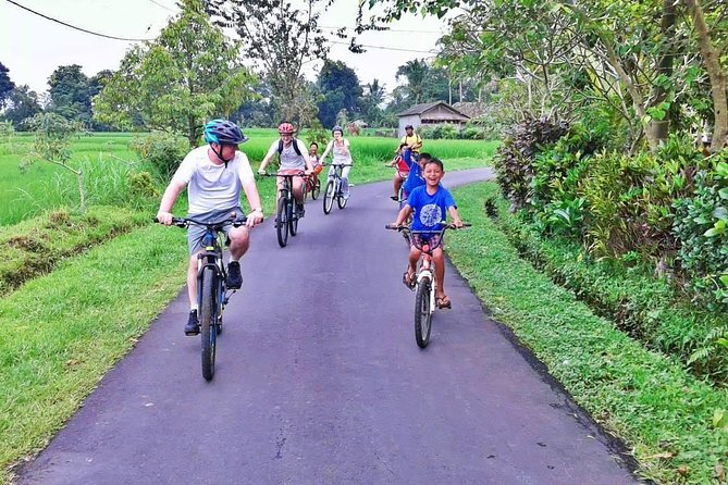 Bike ride in the rice fields, Bali countryside - Coconut Break in the Shade, Then Back to the Saddle