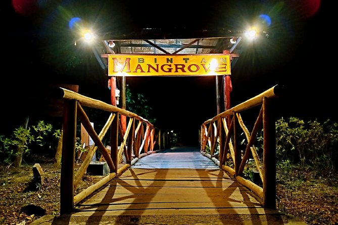 Bintan Fireflies Discovery Tour - Sebong River Mangroves: why this night works for fireflies