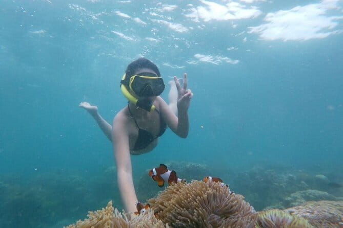 Bintan Island Snorkeling, Kayaking and Fun Fishing Activity - Key highlights I’d plan around