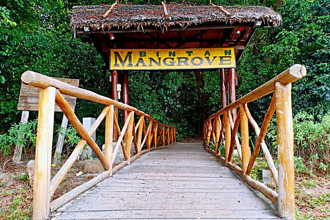 Bintan Mangrove Discovery Tour - Key moments that make this Bintan mangrove cruise worth your time