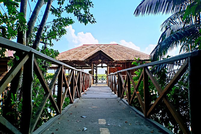 Bintan Mangrove Discovery Tour - Lagoi mangroves: a simple tour with real ecological value
