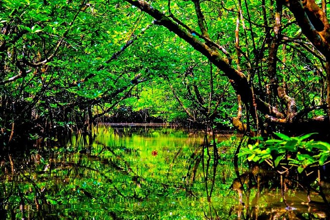 Bintan Mangrove Discovery Tour - Boarding point near the Bintan Resorts entrance