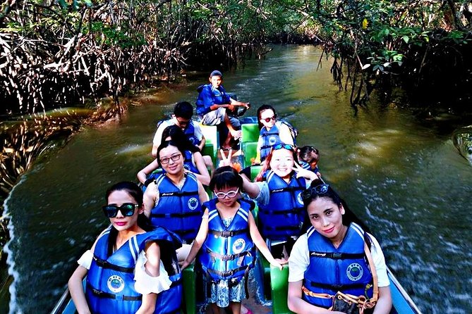 Bintan Mangrove Discovery Tour - The 60-minute cruise: what you will look for and how to spot it