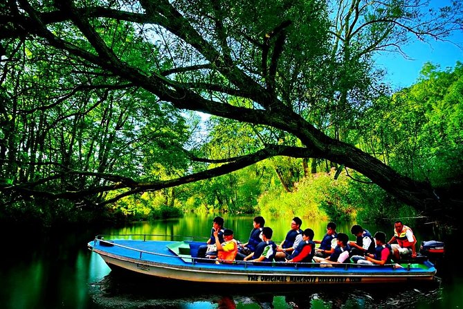 Bintan Mangrove Discovery Tour - What the mangrove setting feels like in real life