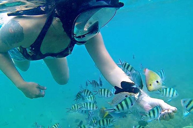 Bintan Snorkeling Tour - Kayaking and fun fishing at the kelong stop