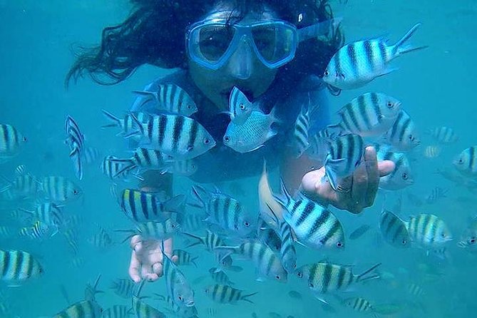Bintan Snorkeling Tour - Food and drinks on the kelong: simple, but it matters