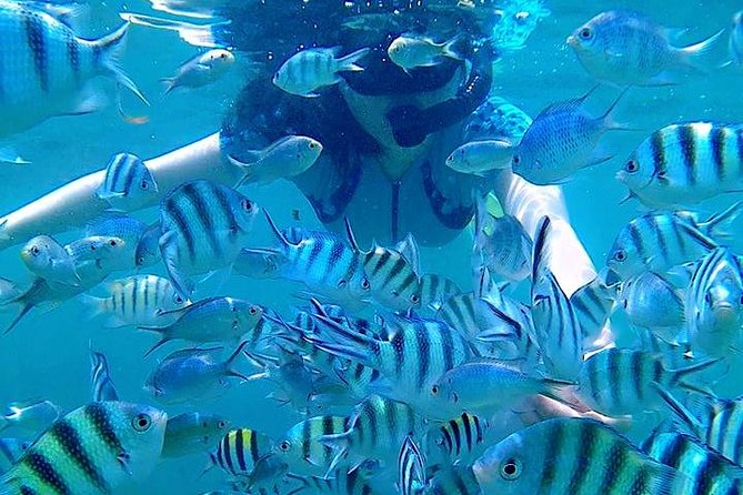 Bintan Snorkeling Tour - The crew experience: who you might hope for