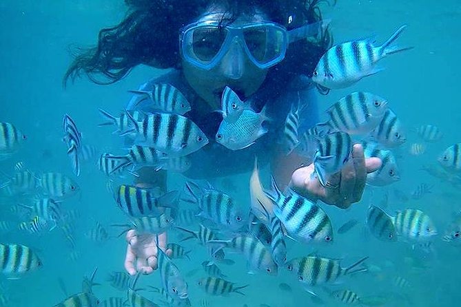 Bintan Snorkeling Tour - Price and value at $52.39 per person