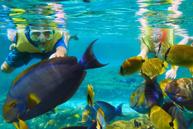 Bloo Lagoon Snorkeling East Bali Includes Transportation & Lunch - What the optional Lempuyang Temple upgrade really adds