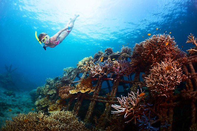 Bloo Lagoon Snorkeling East Bali Includes Transportation & Lunch - Guides and drivers: the names you’ll keep hearing