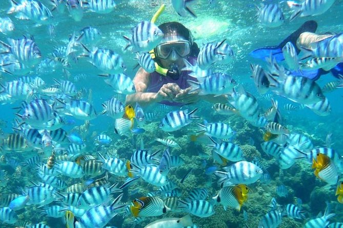 Bloo Lagoon Snorkeling East Bali Includes Transportation & Lunch - Making the most of 4 hours of snorkeling time