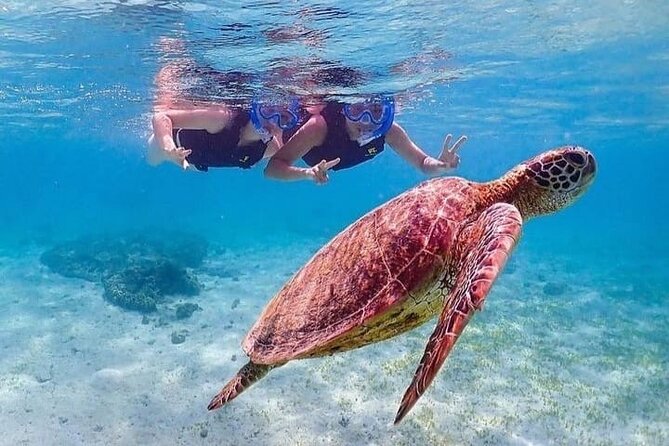 Bloo Lagoon Snorkeling East Bali Includes Transportation & Lunch - The drive from Ubud to east Bali: how the schedule affects your day