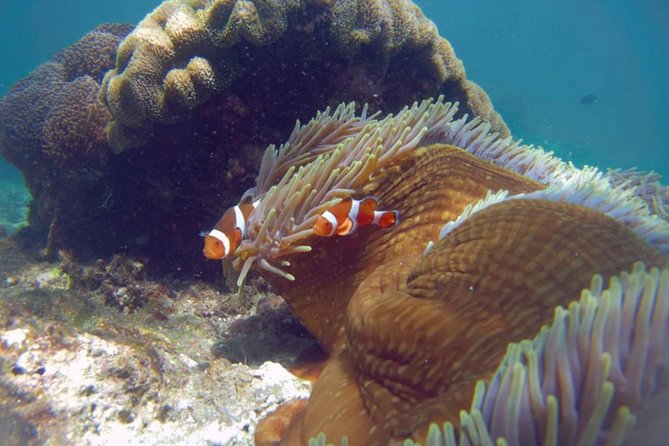 Blue Lagoon Bali Snorkeling Experience - Waterfalls option: Tibumana and Tegenungan