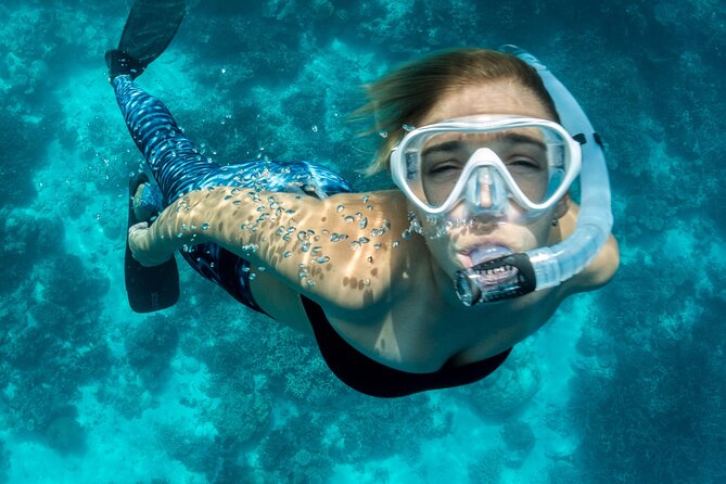 Blue Lagoon Bali Snorkeling Experience - Marine life expectations, from turtles to murky water