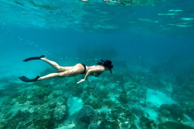 Blue Lagoon Snorkeling and Lunch - Ubud Monkey Forest - Waterfall - Kanto Lampo Waterfall: what you get in the middle of the day