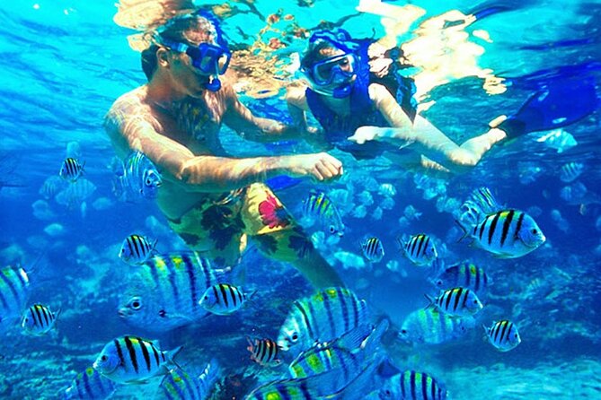Blue Lagoon Snorkeling and Lunch - Ubud Monkey Forest - Waterfall - Monkey Forest in Ubud: getting the most from the final stop