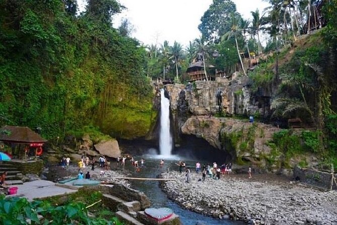 Blue Lagoon Snorkeling and Lunch - Ubud Monkey Forest - Waterfall - Who should book this Blue Lagoon snorkel day and who should skip it