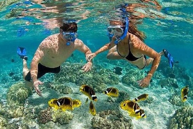 Blue Lagoon Snorkeling and Lunch with Visit Tegenungn Waterfall in Ubud - Pickup timing and how to prepare for an 8-hour day