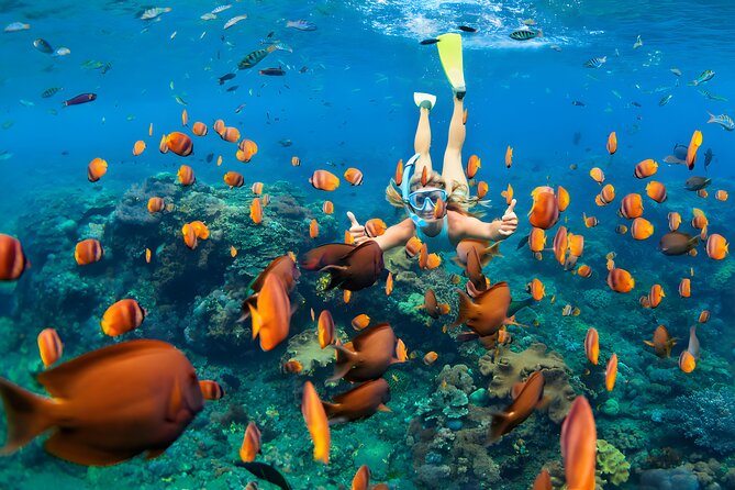 Blue Lagoon Snorkeling and Uluwatu Sunset Tour - Sunset kecak and fire dance: a 50-strong choir puts on a show