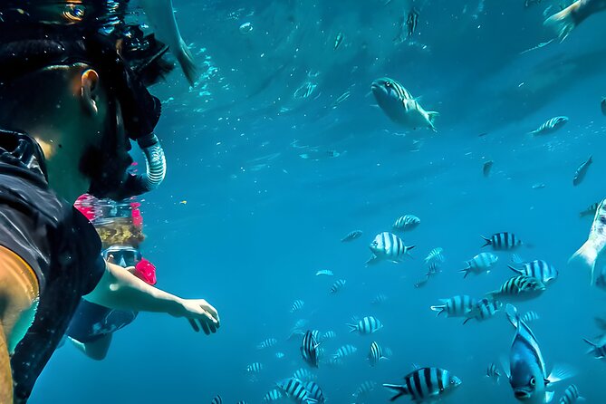 Blue Lagoon Snorkeling - Bali Best Snorkeling Site - Key Points That Make This Snorkeling Trip Worth Your Time