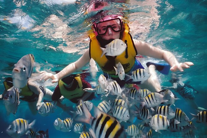 Blue Lagoon Snorkeling - Bali Best Snorkeling Site - What You Can Expect to See Underwater