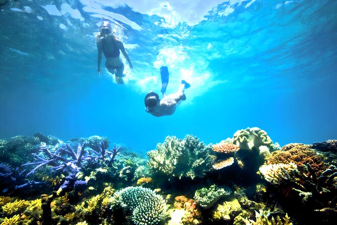 Blue Lagoon Snorkeling - Bali Best Snorkeling Site - Private Instructor Help, Plus Gear You Do Not Have to Chase
