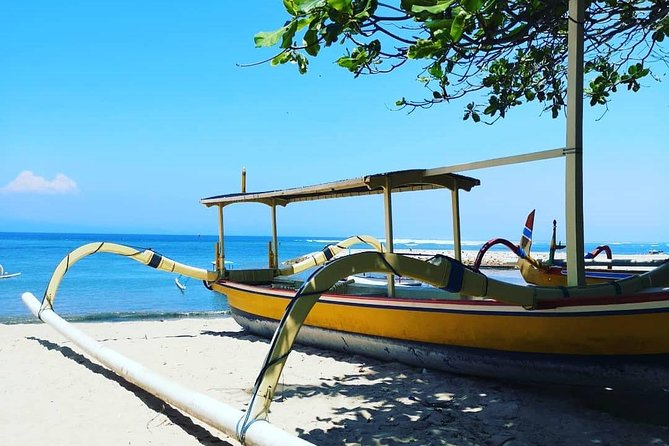 Blue Lagoon Snorkeling - Jungle Swing - Ubud - All Inclusive - Price and Value: Is This $101 Per Person Good?