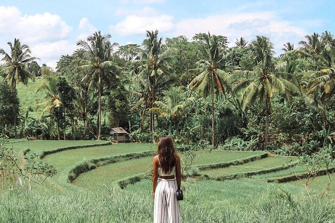 Blue Lagoon Snorkeling - Jungle Swing - Ubud - All Inclusive - Who Should Book This (and Who Might Prefer Something Else)