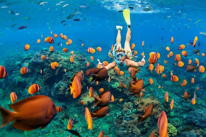 Blue Lagoon Snorkeling - Jungle Swing - Ubud - All Inclusive - Blue Lagoon Snorkeling: Clear Water, Gear, and a Boat Setup