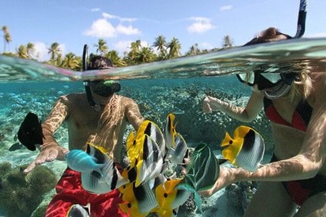 Blue Lagoon Snorkeling - Lunch - Kantolampo - Tibumana Waterfall - Lunch Included: Real Food Energy for the Rest of the Day
