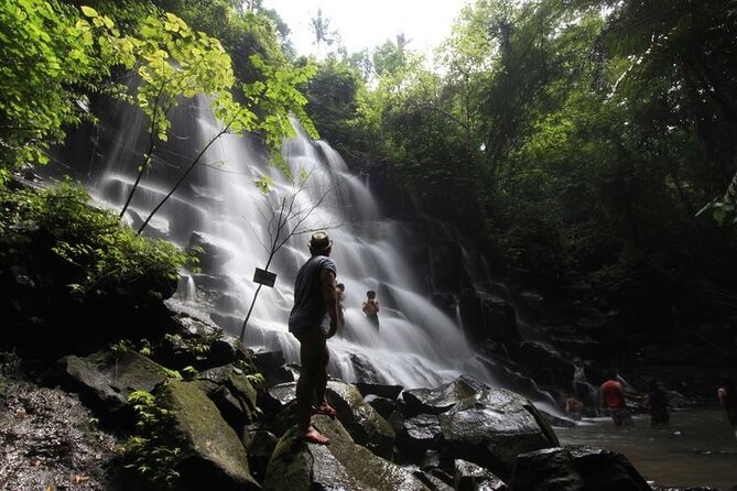 Blue Lagoon Snorkeling - Lunch - Kantolampo - Tibumana Waterfall - Who This Tour Fits Best in Bali