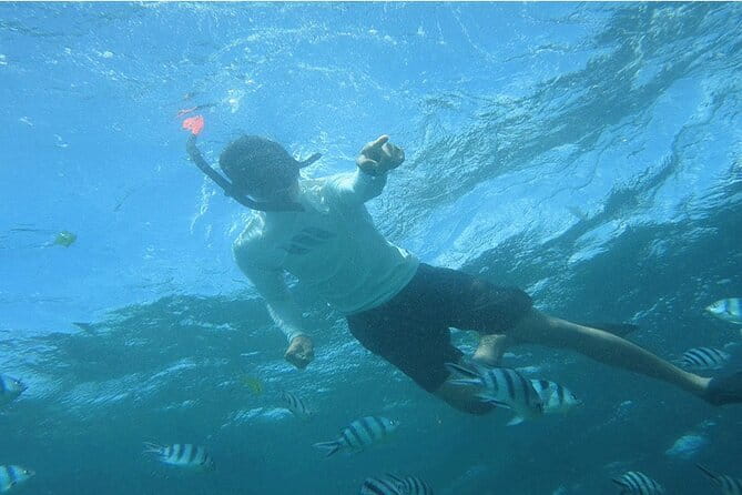 Blue Lagoon Snorkeling with Lunch and Private Transport - Why Blue Lagoon Feels More Like Your Own Beach