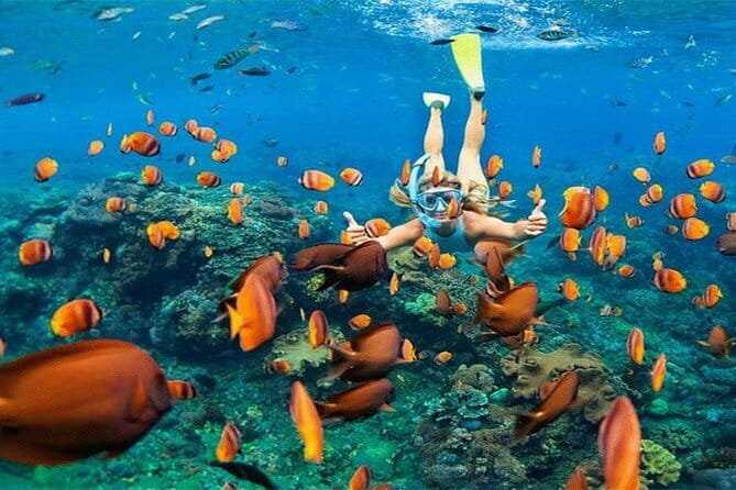 Blue Lagoon Snorkeling with Lunch and Private Transport - Price and Value: Is $60 Worth It in Seminyak?