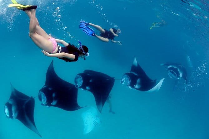 Blue Lagoon Snorkeling with Lunch and Private Transport - Who This Tour Fits Best (And Who Might Want Something Else)