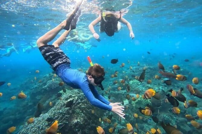 Blue Lagoon Snorkeling with Lunch and Waterfall in Ubud - Key highlights to know before you go