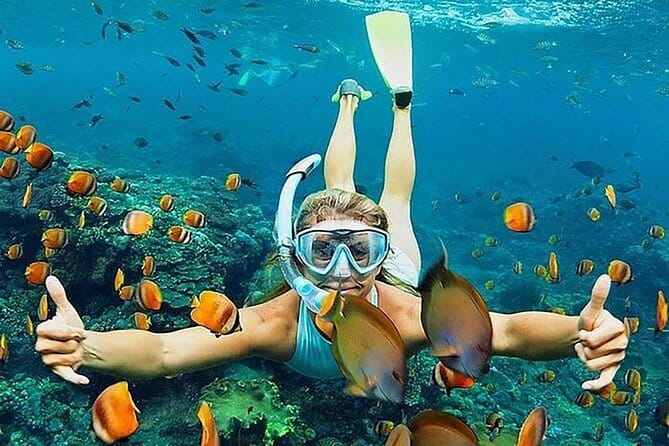 Blue Lagoon Snorkeling with Lunch and Waterfall in Ubud - How this private day works (and why it matters)
